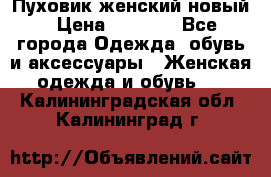 Пуховик женский новый › Цена ­ 2 600 - Все города Одежда, обувь и аксессуары » Женская одежда и обувь   . Калининградская обл.,Калининград г.